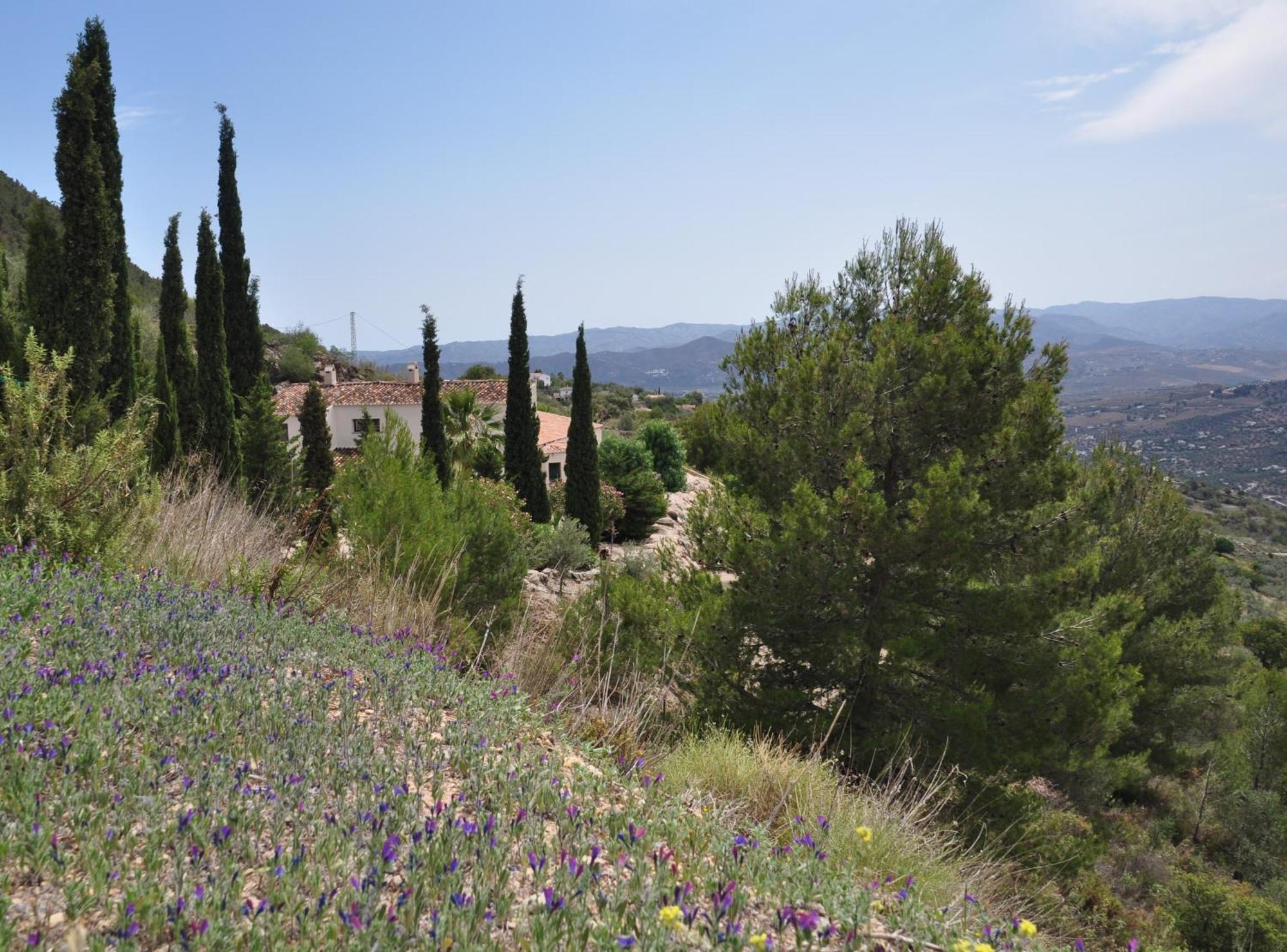 Alcaucín Boutique B&B El Refugio المظهر الخارجي الصورة